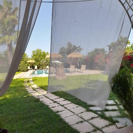Leone Luxury Villas Kalamaki (Zakynthos) Exterior foto