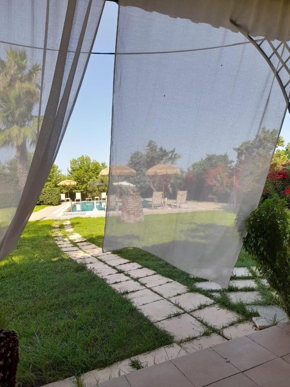 Leone Luxury Villas Kalamaki (Zakynthos) Exterior foto